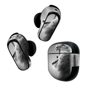 Bose QuietComfort Earbuds II �p �X�L���V�[�� �{�[�Y �C���o�b�Y2 �p�@�X�e�b�J�[�@�{��3�Z�b�g �P�[�X1�Z�b�g �ی� �t�B���� �f�R �ʐ^�@���m�N���@���C�I�� 007863