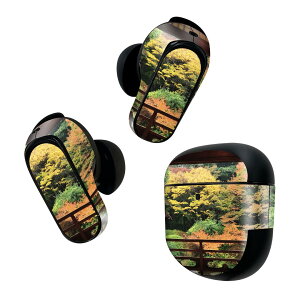 Bose QuietComfort Earbuds II p XLV[ {[Y CobY2 p@XebJ[@{3Zbg P[X1Zbg ی tB fR ʐ^@a@@H@gt 008066