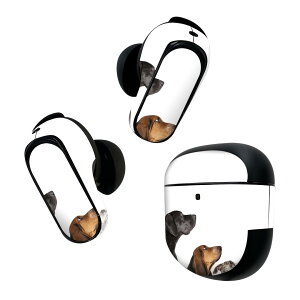 Bose QuietComfort Earbuds II �p �X�L���V�[�� �{�[�Y �C���o�b�Y2 �p�@�X�e�b�J�[�@�{��3�Z�b�g �P�[�X1�Z�b�g �ی� �t�B���� �f�R �ʐ^�@���@���ʁ@���@�z���C�g 008190