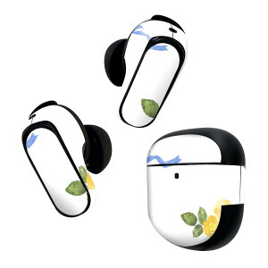 Bose QuietComfort Earbuds II p XLV[ {[Y CobY2 p@XebJ[@{3Zbg P[X1Zbg ی tB fR  CG[ F  { 008198