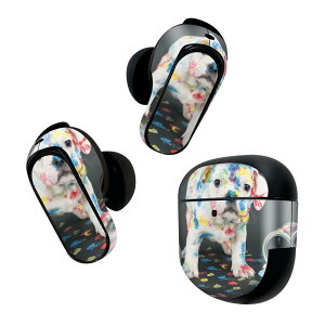 Bose QuietComfort Earbuds II p XLV[ {[Y CobY2 p@XebJ[@{3Zbg P[X1Zbg ی tB fR @ʐ^@yL@CN@Jt 008304