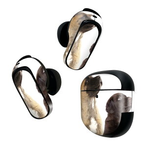 Bose QuietComfort Earbuds II p XLV[ {[Y CobY2 p@XebJ[@{3Zbg P[X1Zbg ی tB fR ʐ^@@L 008364