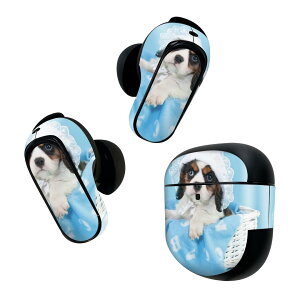 Bose QuietComfort Earbuds II p XLV[ {[Y CobY2 p@XebJ[@{3Zbg P[X1Zbg ی tB fR ʐ^@F@@u[@ 008499