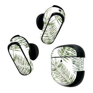 Bose QuietComfort Earbuds II �p �X�L���V�[�� �{�[�Y �C���o�b�Y2 �p�@�X�e�b�J�[�@�{��3�Z�b�g �P�[�X1�Z�b�g �ی� �t�B���� �f�R �A���@�΁@�O���[���@�͗l 008552