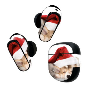 Bose QuietComfort Earbuds II p XLV[ {[Y CobY2 p@XebJ[@{3Zbg P[X1Zbg ی tB fR Aj} @L@Xq@ʐ^ 008645
