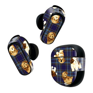 Bose QuietComfort Earbuds II �p �X�L���V�[�� �{�[�Y �C���o�b�Y2 �p�@�X�e�b�J�[�@�{��3�Z�b�g �P�[�X1�Z�b�g �ی� �t�B���� �f�R �@�u���[�@�`�F�b�N�@�� 008723