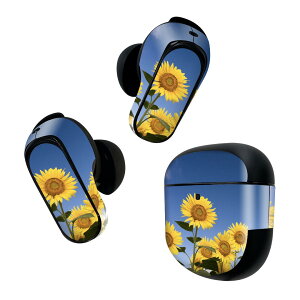 Bose QuietComfort Earbuds II p XLV[ {[Y CobY2 p@XebJ[@{3Zbg P[X1Zbg ی tB fR @Ђ܂@ʐ^ 009265