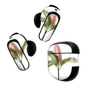 Bose QuietComfort Earbuds II �p �X�L���V�[�� �{�[�Y �C���o�b�Y2 �p�@�X�e�b�J�[�@�{��3�Z�b�g �P�[�X1�Z�b�g �ی� �t�B���� �f�R �A���@�ԁ@�� 009571