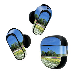 Bose QuietComfort Earbuds II �p �X�L���V�[�� �{�[�Y �C���o�b�Y2 �p�@�X�e�b�J�[�@�{��3�Z�b�g �P�[�X1�Z�b�g �ی� �t�B���� �f�R �@�ԁ@�ʐ^ 009771