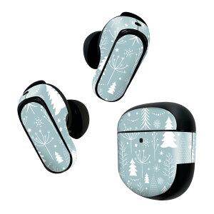 Bose QuietComfort Earbuds II p XLV[ {[Y CobY2 p@XebJ[@{3Zbg P[X1Zbg ی tB fR NX}X@@ 009840