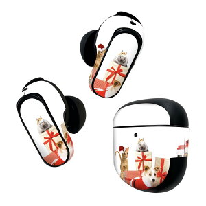 Bose QuietComfort Earbuds II p XLV[ {[Y CobY2 p@XebJ[@{3Zbg P[X1Zbg ی tB fR NX}X@@@L 009931