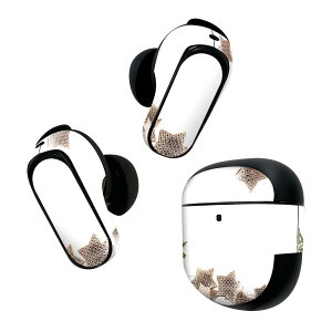 Bose QuietComfort Earbuds II p XLV[ {[Y CobY2 p@XebJ[@{3Zbg P[X1Zbg ی tB fR NX}X@@ 009972