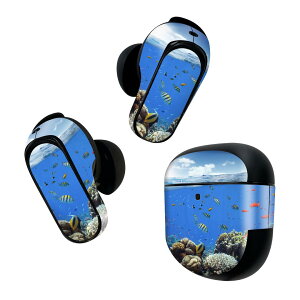 Bose QuietComfort Earbuds II �p �X�L���V�[�� �{�[�Y �C���o�b�Y2 �p�@�X�e�b�J�[�@�{��3�Z�b�g �P�[�X1�Z�b�g �ی� �t�B���� �f�R �C�@���@�ʐ^ 010920
