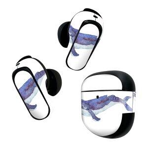 Bose QuietComfort Earbuds II �p �X�L���V�[�� �{�[�Y �C���o�b�Y2 �p�@�X�e�b�J�[�@�{��3�Z�b�g �P�[�X1�Z�b�g �ی� �t�B���� �f�R �C�@�������@������ 011406