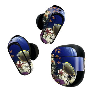 Bose QuietComfort Earbuds II p XLV[ {[Y CobY2 p@XebJ[@{3Zbg P[X1Zbg ی tB fR C@@X 011673