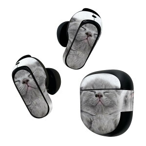 Bose QuietComfort Earbuds II p XLV[ {[Y CobY2 p@XebJ[@{3Zbg P[X1Zbg ی tB fR L@@ʐ^ 011682