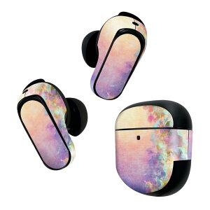 Bose QuietComfort Earbuds II �p �X�L���V�[�� �{�[�Y �C���o�b�Y2 �p�@�X�e�b�J�[�@�{��3�Z�b�g �P�[�X1�Z�b�g �ی� �t�B���� �f�R �ԁ@�G��@�i�F 012220