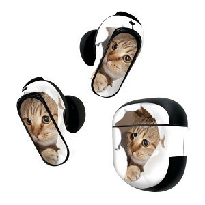 Bose QuietComfort Earbuds II p XLV[ {[Y CobY2 p@XebJ[@{3Zbg P[X1Zbg ی tB fR L@ʐ^ 013566