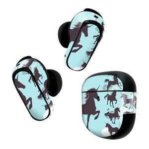 Bose QuietComfort Earbuds II �p �X�L���V�[�� �{�[�Y �C���o�b�Y2 �p�@�X�e�b�J�[�@�{��3�Z�b�g �P�[�X1�Z�b�g �ی� �t�B���� �f�R �n�@�����@�A�j�}�� 013914