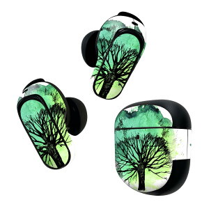 Bose QuietComfort Earbuds II p XLV[ {[Y CobY2 p@XebJ[@{3Zbg P[X1Zbg ی tB fR ؁@CXg@ 014487