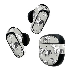 Bose QuietComfort Earbuds II �p �X�L���V�[�� �{�[�Y �C���o�b�Y2 �p�@�X�e�b�J�[�@�{��3�Z�b�g �P�[�X1�Z�b�g �ی� �t�B���� �f�R ���@�����@�A�j�}�� 014615