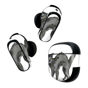 Bose QuietComfort Earbuds II p XLV[ {[Y CobY2 p@XebJ[@{3Zbg P[X1Zbg ی tB fR nEB@L 014712