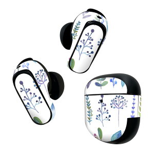 Bose QuietComfort Earbuds II �p �X�L���V�[�� �{�[�Y �C���o�b�Y2 �p�@�X�e�b�J�[�@�{��3�Z�b�g �P�[�X1�Z�b�g �ی� �t�B���� �f�R �A���@�f�ށ@���ꂢ 014815