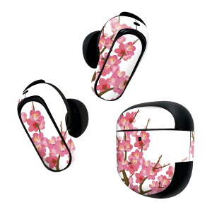 Bose QuietComfort Earbuds II p XLV[ {[Y CobY2 p@XebJ[@{3Zbg P[X1Zbg ی tB fR ~@ԁ@A 015456