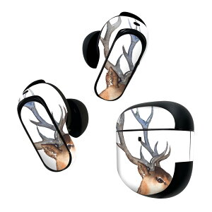 Bose QuietComfort Earbuds II �p �X�L���V�[�� �{�[�Y �C���o�b�Y2 �p�@�X�e�b�J�[�@�{��3�Z�b�g �P�[�X1�Z�b�g �ی� �t�B���� �f�R ���@�����@�菑���@�G 015586