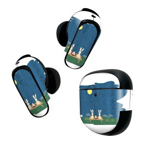 Bose QuietComfort Earbuds II p XLV[ {[Y CobY2 p@XebJ[@{3Zbg P[X1Zbg ی tB fR @@H 015856