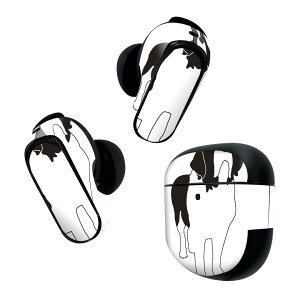Bose QuietComfort Earbuds II p XLV[ {[Y CobY2 p@XebJ[@{3Zbg P[X1Zbg ی tB fR @@{[_[R[ 016073