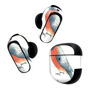 Bose QuietComfort Earbuds II �p �X�L���V�[�� �{�[�Y �C���o�b�Y2 �p�@�X�e�b�J�[�@�{��3�Z�b�g �P�[�X1�Z�b�g �ی� �t�B���� �f�R �� 016132