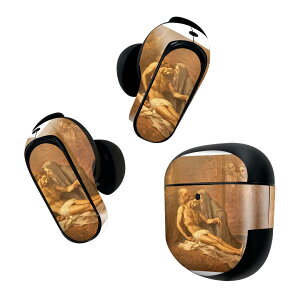 Bose QuietComfort Earbuds II �p �X�L���V�[�� �{�[�Y �C���o�b�Y2 �p�@�X�e�b�J�[�@�{��3�Z�b�g �P�[�X1�Z�b�g �ی� �t�B���� �f�R �G��@�L���X�g 016459