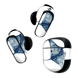Bose QuietComfort Earbuds II �p �X�L���V�[�� �{�[�Y �C���o�b�Y2 �p�@�X�e�b�J�[�@�{��3�Z�b�g �P�[�X1�Z�b�g �ی� �t�B���� �f�R �C�̒� Underwater�@�}���^�@�G�C�@�C�̒� 017847
