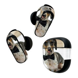 Bose QuietComfort Earbuds II p XLV[ {[Y CobY2 p@XebJ[@{3Zbg P[X1Zbg ی tB fR  ʐ^ 018326