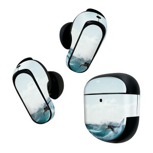 Bose QuietComfort Earbuds II �p �X�L���V�[�� �{�[�Y �C���o�b�Y2 �p�@�X�e�b�J�[�@�{��3�Z�b�g �P�[�X1�Z�b�g �ی� �t�B���� �f�R �T�[�t�B�� �C �ʐ^ 018353