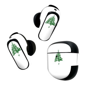 Bose QuietComfort Earbuds II p XLV[ {[Y CobY2 p@XebJ[@{3Zbg P[X1Zbg ی tB fR  norfolk_island m[tH[N 018906