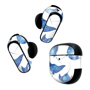 Bose QuietComfort Earbuds II p XLV[ {[Y CobY2 p@XebJ[@{3Zbg P[X1Zbg ی tB fR CXg GC }^ 018993