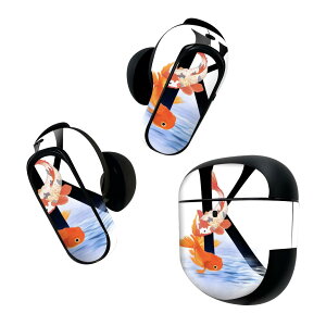 Bose QuietComfort Earbuds II p XLV[ {[Y CobY2 p@XebJ[@{3Zbg P[X1Zbg ی tB fR tHg  k At@xbg 019453
