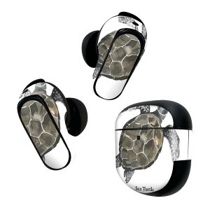 Bose QuietComfort Earbuds II p XLV[ {[Y CobY2 p@XebJ[@{3Zbg P[X1Zbg ی tB fR fUC C̐ CK chelonioidea 019731