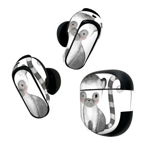 Bose QuietComfort Earbuds II p XLV[ {[Y CobY2 p@XebJ[@{3Zbg P[X1Zbg ی tB fR fUC  킢  019766