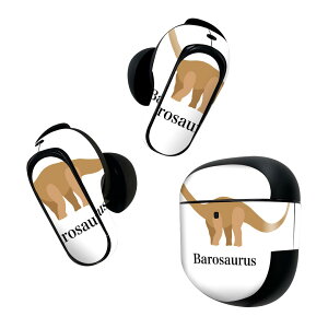 Bose QuietComfort Earbuds II �p �X�L���V�[�� �{�[�Y �C���o�b�Y2 �p�@�X�e�b�J�[�@�{��3�Z�b�g �P�[�X1�Z�b�g �ی� �t�B���� �f�R ���� ���� barosaurus �o���T�E���X 019768
