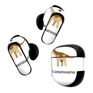 Bose QuietComfort Earbuds II �p �X�L���V�[�� �{�[�Y �C���o�b�Y2 �p�@�X�e�b�J�[�@�{��3�Z�b�g �P�[�X1�Z�b�g �ی� �t�B���� �f�R ���� ���� camarasaurus �J�}���T�E���X 019771