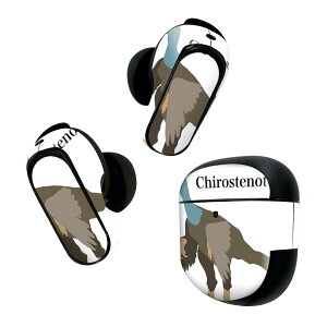 Bose QuietComfort Earbuds II p XLV[ {[Y CobY2 p@XebJ[@{3Zbg P[X1Zbg ی tB fR   Chirostenotes LXemeX 019774