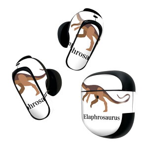 Bose QuietComfort Earbuds II p XLV[ {[Y CobY2 p@XebJ[@{3Zbg P[X1Zbg ی tB fR   Elaphrosaurus GtTEX 019785