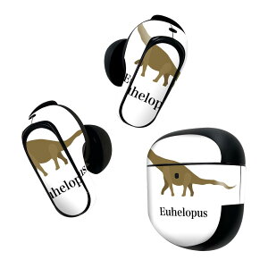 Bose QuietComfort Earbuds II p XLV[ {[Y CobY2 p@XebJ[@{3Zbg P[X1Zbg ی tB fR   Euhelopus GEwvX 019787