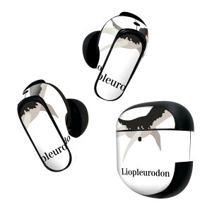 Bose QuietComfort Earbuds II p XLV[ {[Y CobY2 p@XebJ[@{3Zbg P[X1Zbg ی tB fR   Liopleurodon IvEh 019795