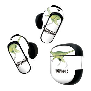 Bose QuietComfort Earbuds II p XLV[ {[Y CobY2 p@XebJ[@{3Zbg P[X1Zbg ی tB fR   Harpymimus ns~X 019814