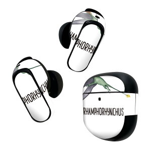 Bose QuietComfort Earbuds II �p �X�L���V�[�� �{�[�Y �C���o�b�Y2 �p�@�X�e�b�J�[�@�{��3�Z�b�g �P�[�X1�Z�b�g �ی� �t�B���� �f�R ���� ���� Rhamphorhynchus �����t�H�����N�X 019825
