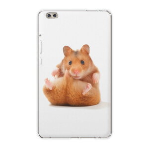 dtab compact d-02k docomo d^u p ^ubg P[X ^ubg Jo[ TPU \tgP[X 001075 Aj} nX^[@